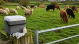 DAFM confirms 62 bluetongue cases across 15 counties as outbreak spreads