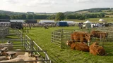 Dorset County Show to move to new showground for 2027 event