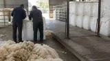 Australian wool indicator falls 3.5% as growers resist lower bids