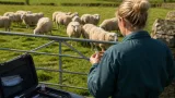 Irish vet urges spring vaccination ahead of expected bluetongue risk