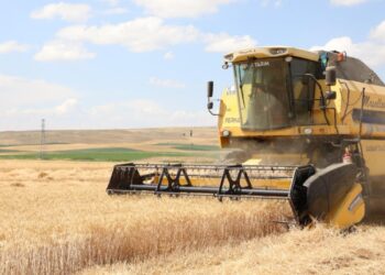 Tarımsal Destek Ödeme Tarihleri!