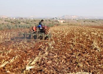 Saat 18.00’de Tarımsal Destek Ödemesi Müjdesi!