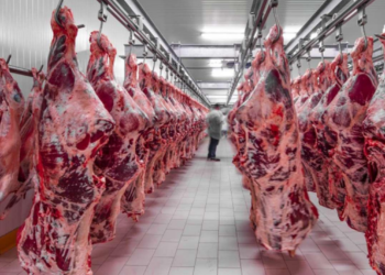 Danaya İndirim, Kuzuya Zam Geldi!